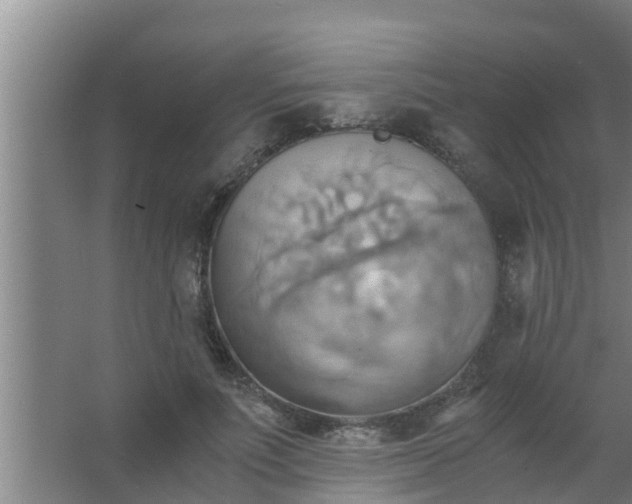 X0000063470691200602031900