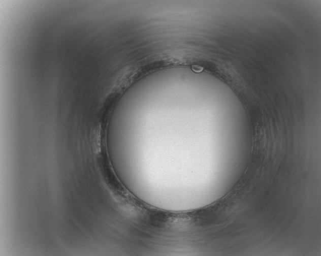 X0000063470694200602031900