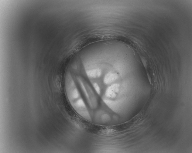 X0000063470695200602031900