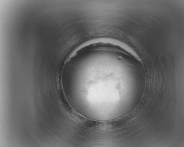 X0000063470696200602031900