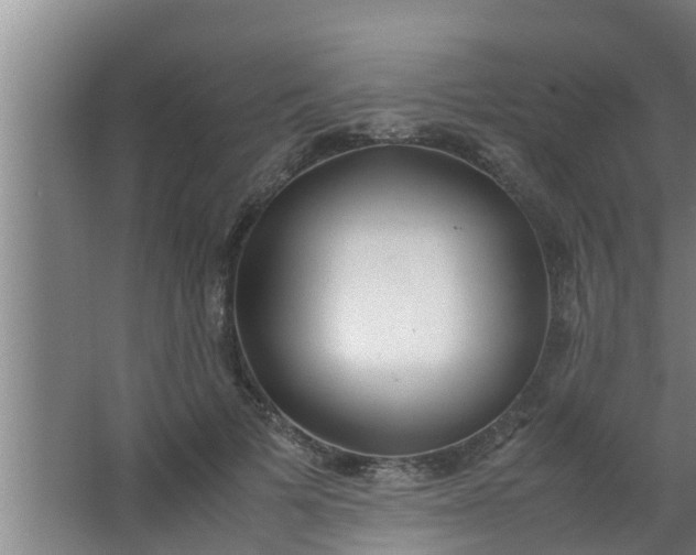 X0000063470697200602031900