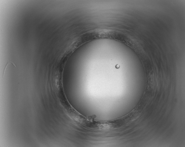 X0000063470698200602031900