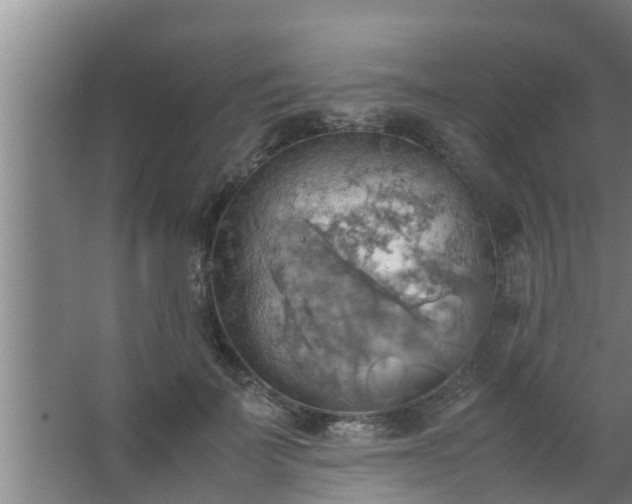 X0000063470699200602031900