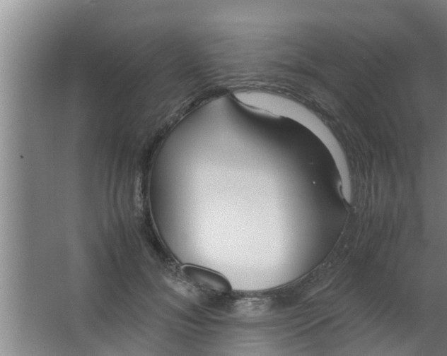 X0000063470700200602031900