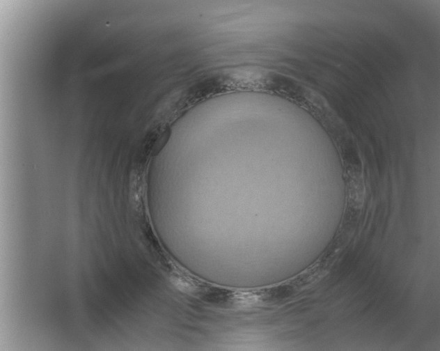 X0000063470701200602031900