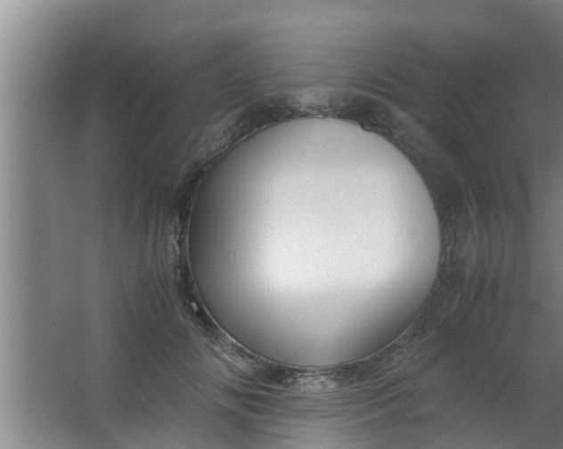 X0000063470702200602031900