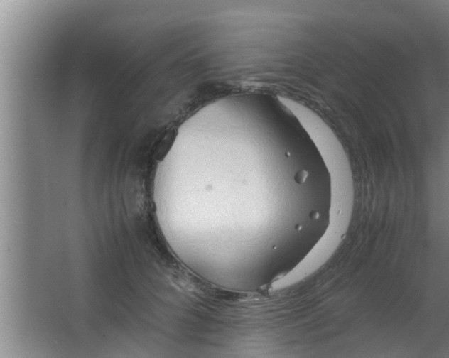 X0000063470704200602031900