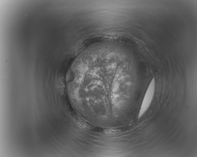 X0000063470707200602031900