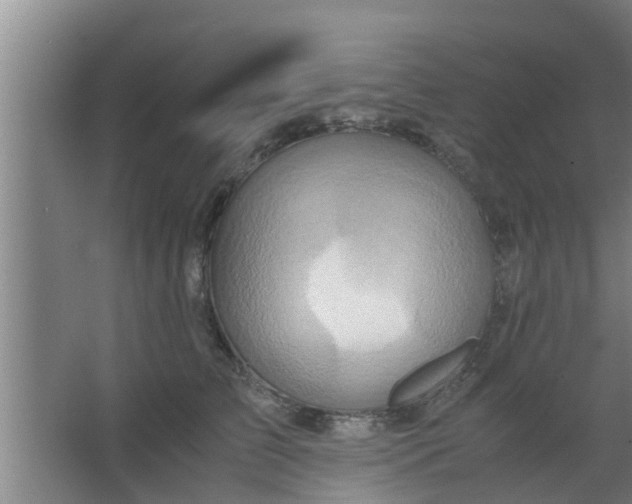 X0000063470709200602031900