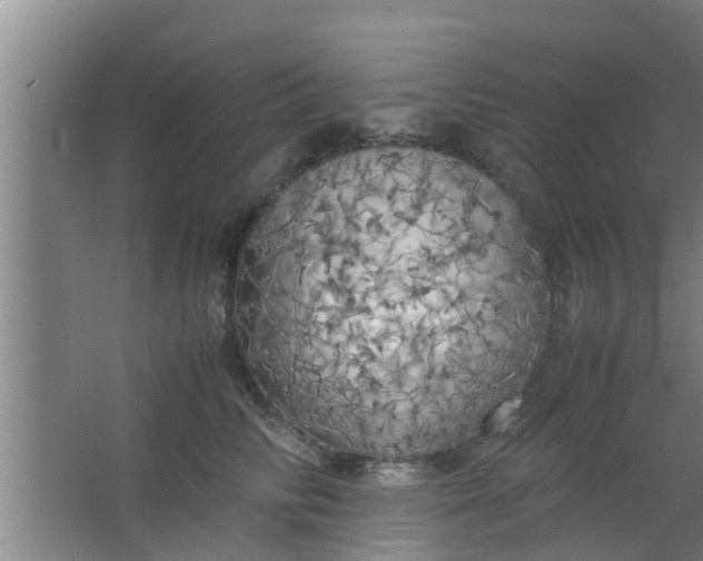 X0000063470710200602031900