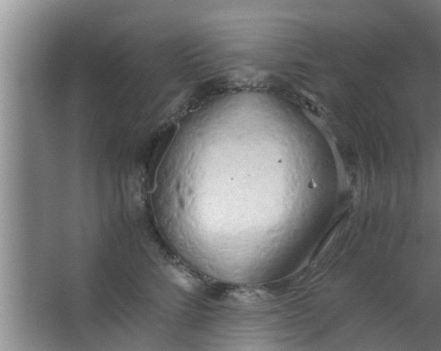 X0000063470712200602031900