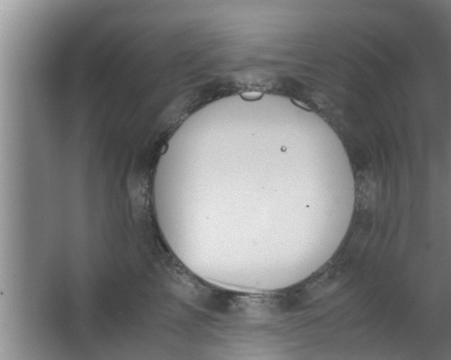 X0000063470713200602031900