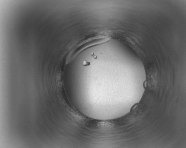 X0000063470714200602031900