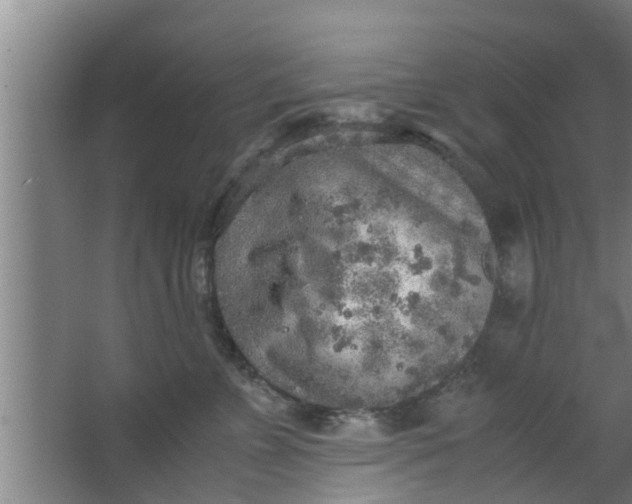 X0000063470715200602031900