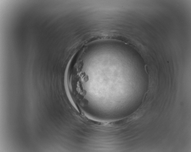 X0000063470720200602031859