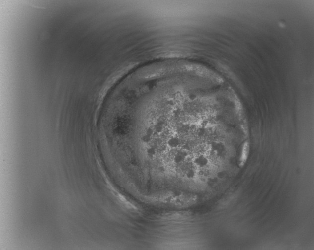 X0000063470721200602031859