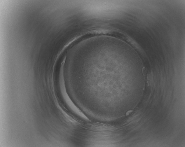 X0000063470722200602031859