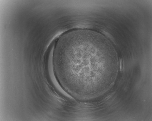 X0000063470723200602031859