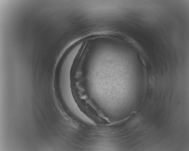 X0000063470724200602031859