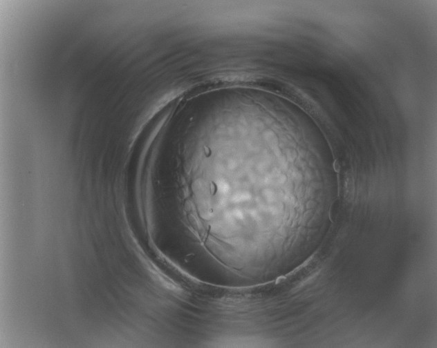 X0000063470725200602031859