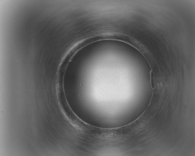 X0000063470728200602031859