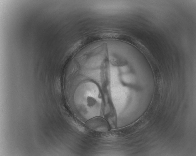 X0000063470729200602031859