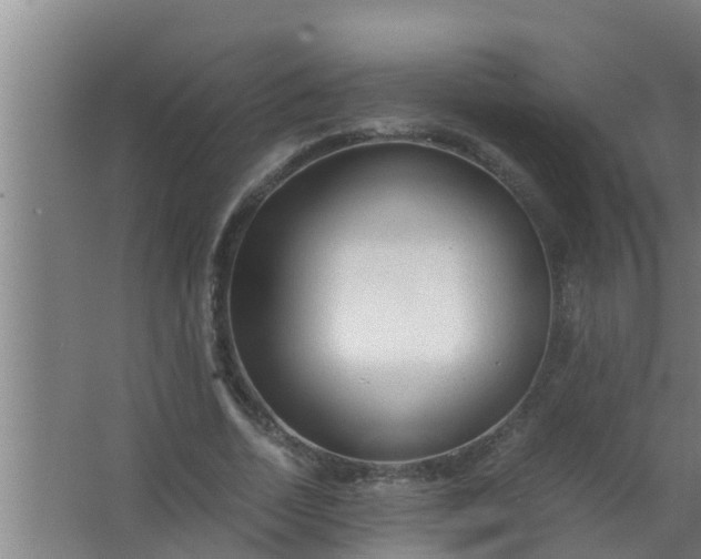 X0000063470730200602031859