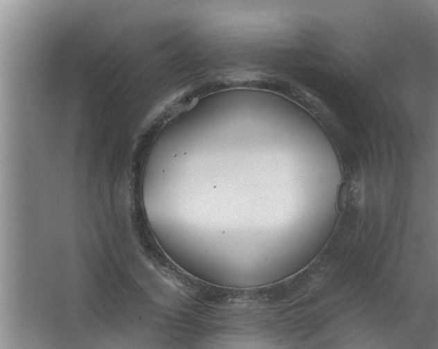 X0000063470732200602031859