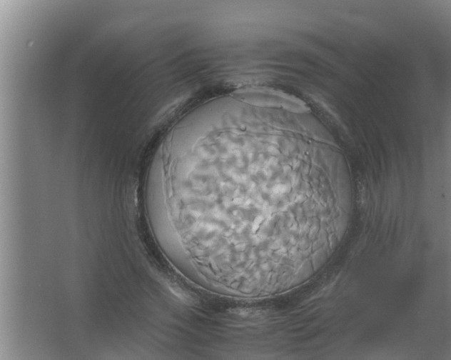 X0000063470733200602031859