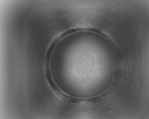 X0000063470736200602031859