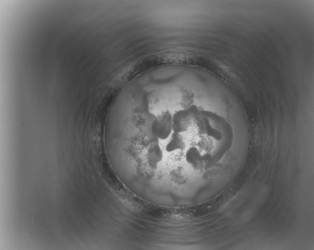 X0000063470737200602031859