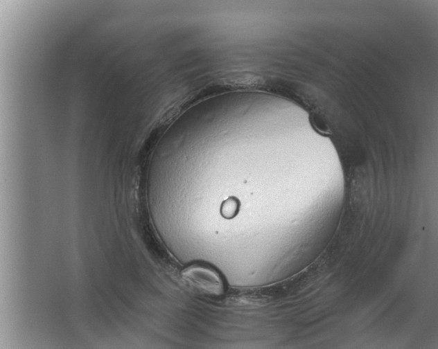 X0000063470739200602031859