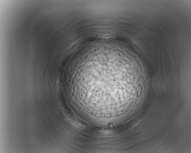 X0000063470741200602031859