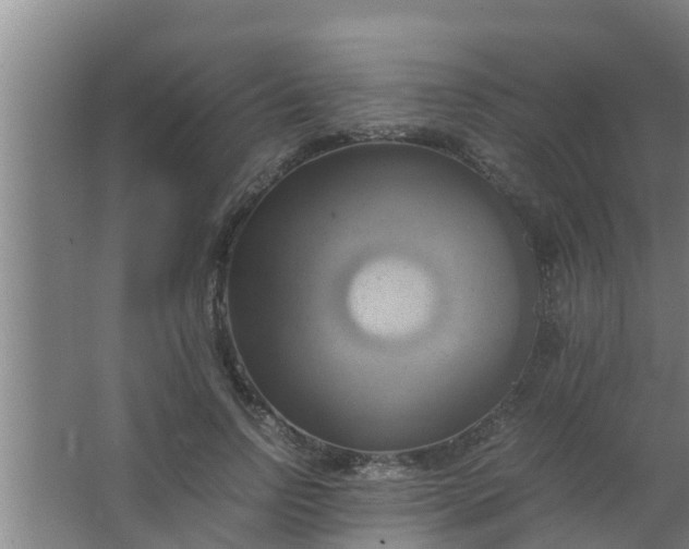 X0000063470742200602031859