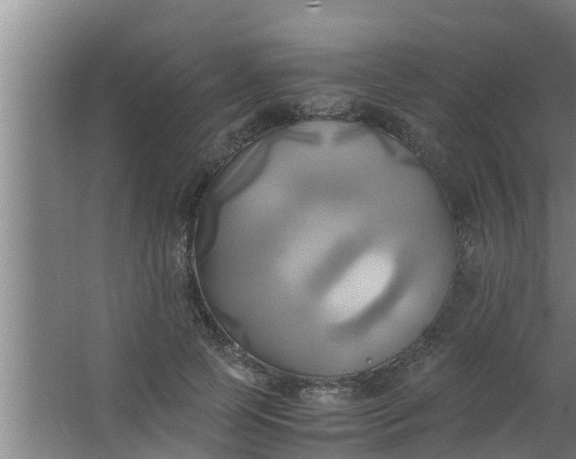 X0000063470745200602031859