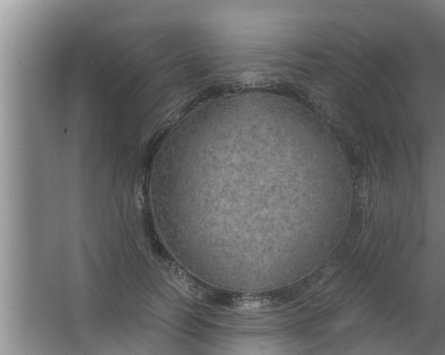 X0000063470746200602031859