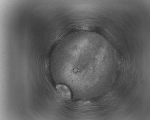 X0000063470747200602031859