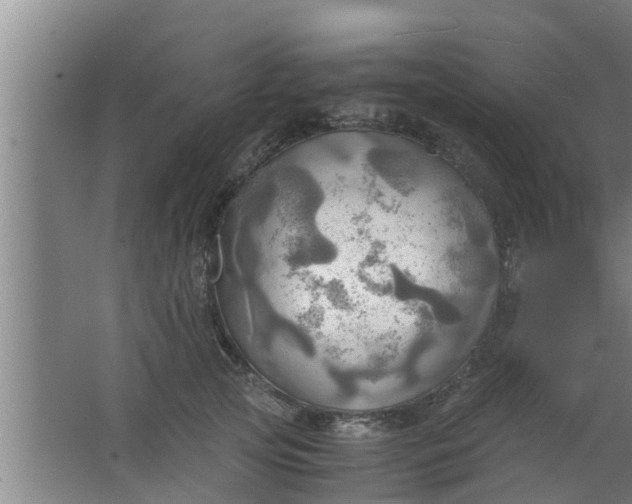 X0000063470753200602031859