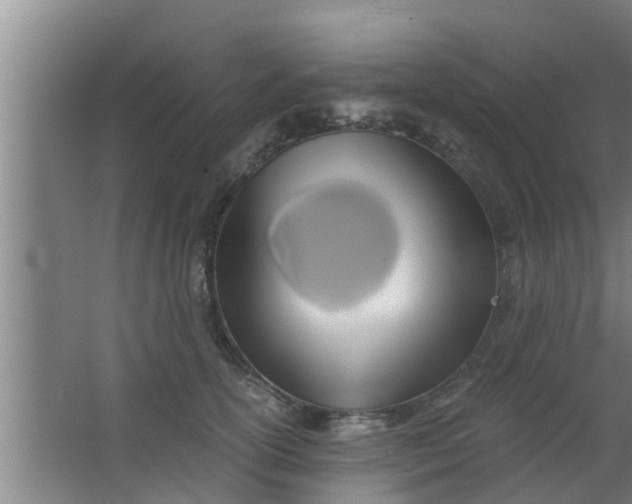 X0000063470754200602031859