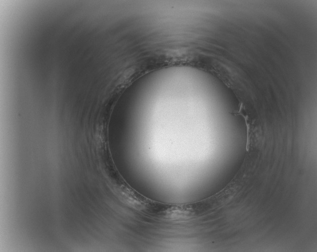 X0000063470756200602031859