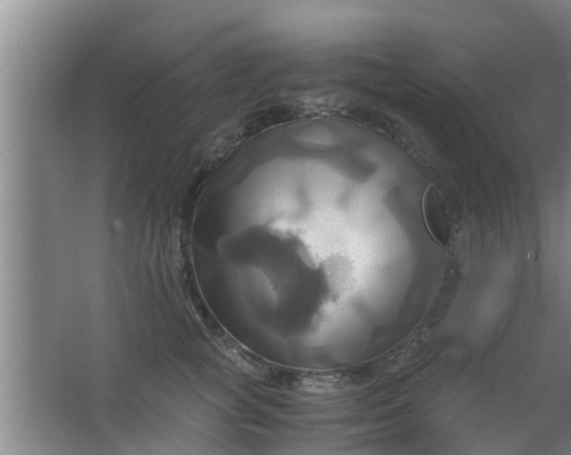 X0000063470757200602031859