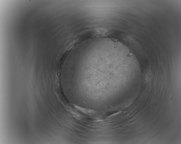 X0000063470759200602031859