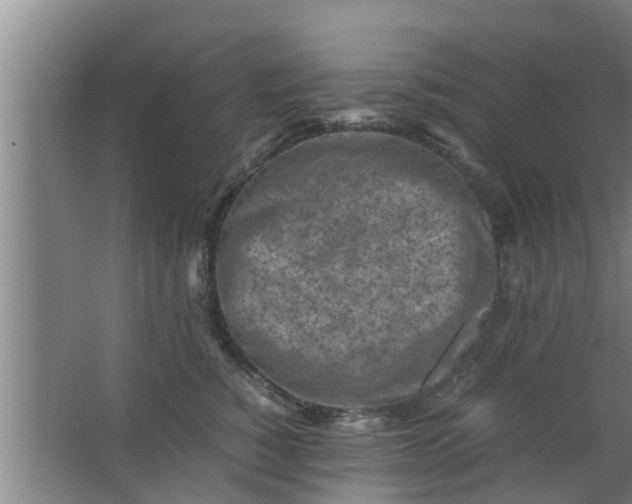 X0000063470760200602031859