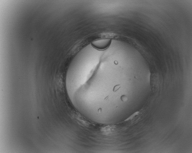 X0000063470761200602031859