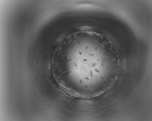 X0000063470763200602031859