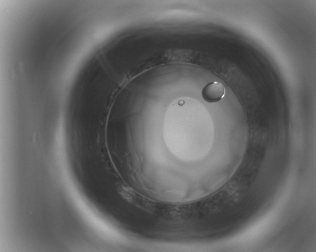 X0000063470765200602031859