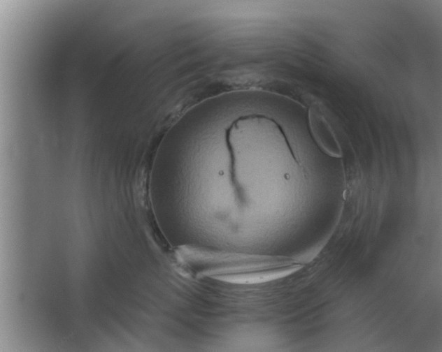 X0000063470767200602031859