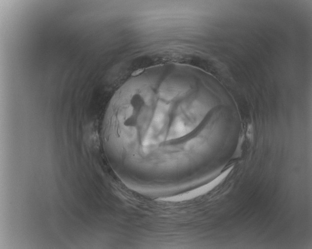 X0000063470771200602031859