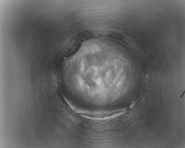 X0000063470772200602031859