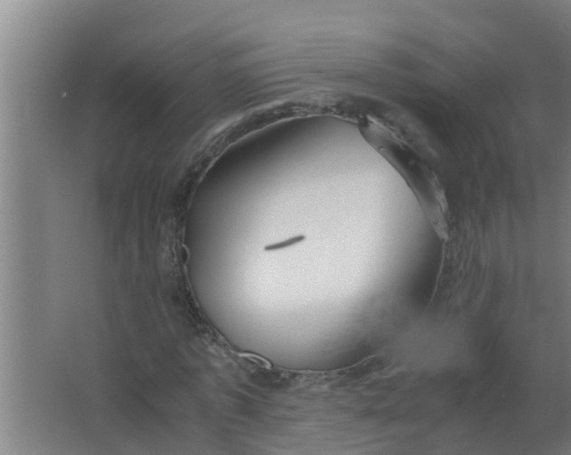 X0000063470773200602031859